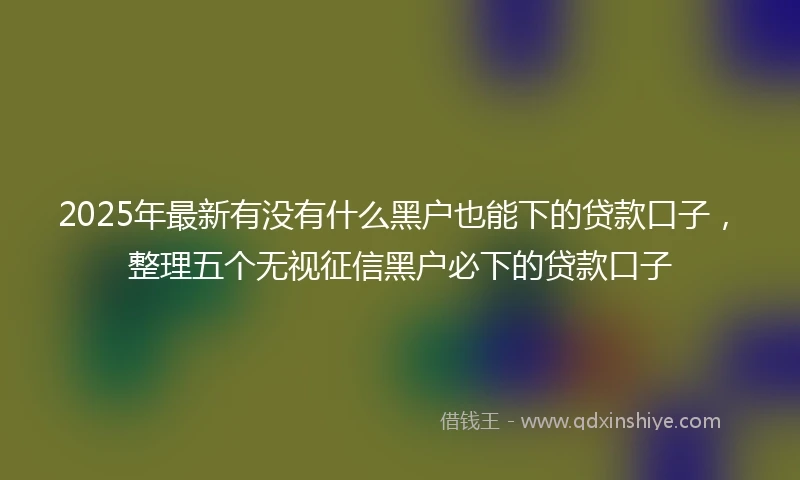 2025年最新有没有什么黑户也能下的贷款口子，整理五个无视征信黑户必下的贷款口子