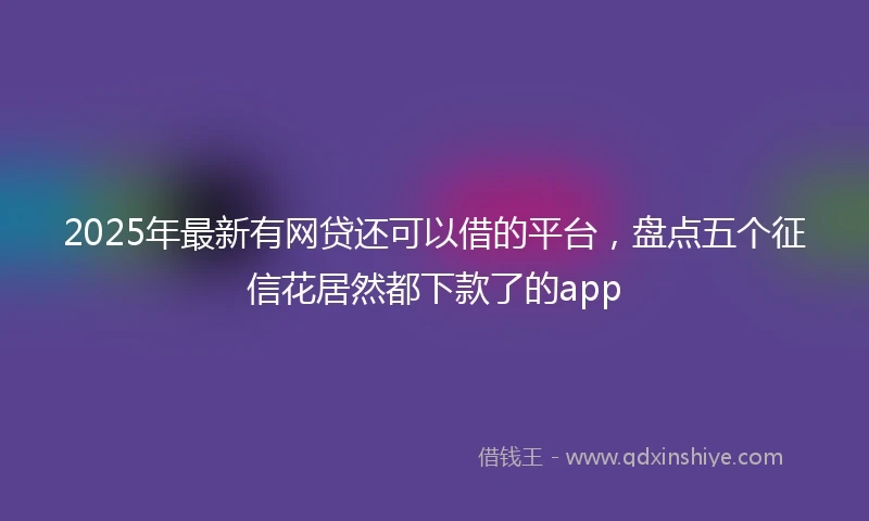 2025年最新有网贷还可以借的平台，盘点五个征信花居然都下款了的app