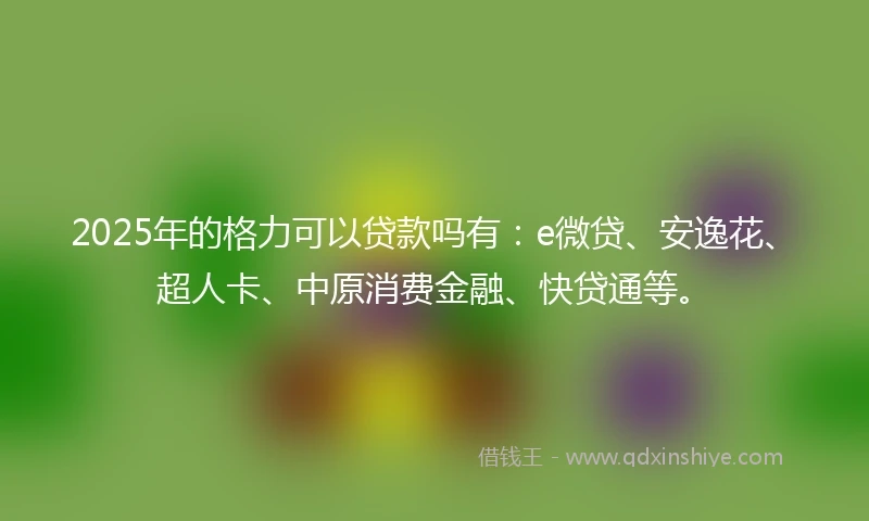2025年的格力可以贷款吗有：e微贷、安逸花、超人卡、中原消费金融、快贷通等。