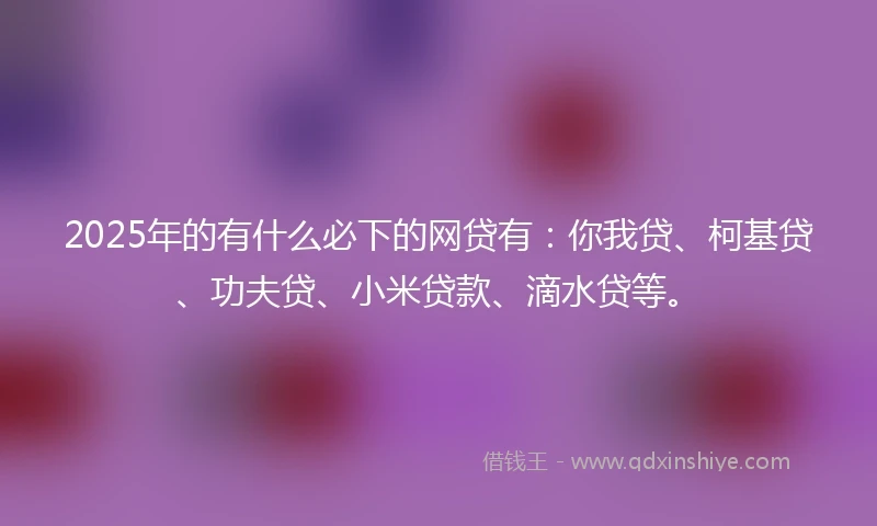 2025年的有什么必下的网贷有：你我贷、柯基贷、功夫贷、小米贷款、滴水贷等。