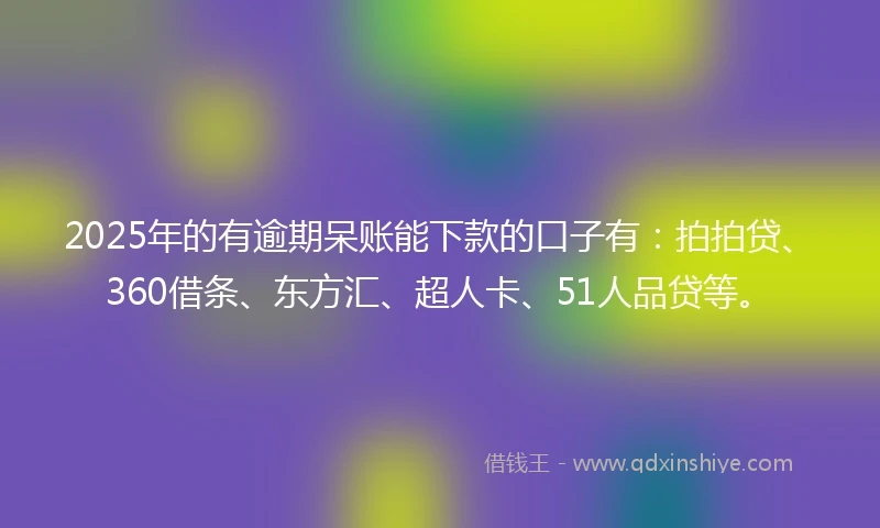 2025年的有逾期呆账能下款的口子有：拍拍贷、360借条、东方汇、超人卡、51人品贷等。