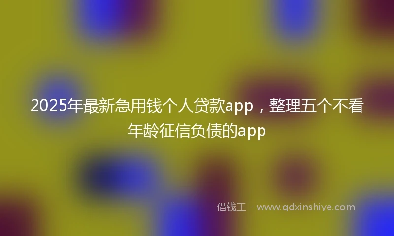 2025年最新急用钱个人贷款app，整理五个不看年龄征信负债的app
