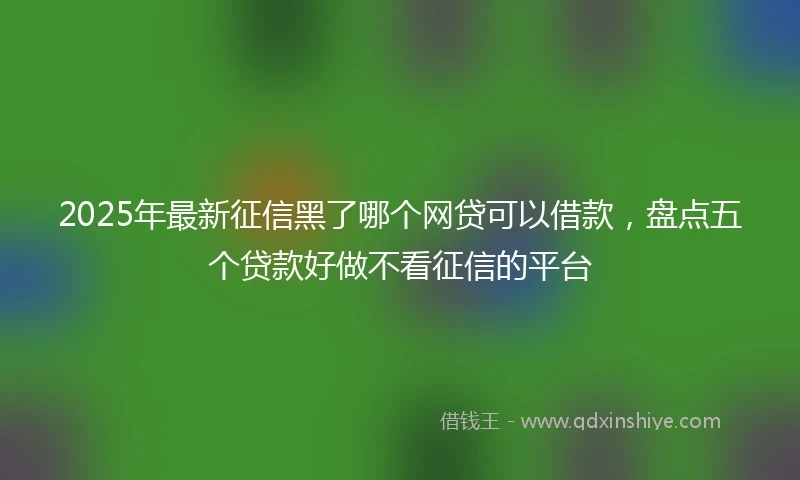 2025年最新征信黑了哪个网贷可以借款，盘点五个贷款好做不看征信的平台