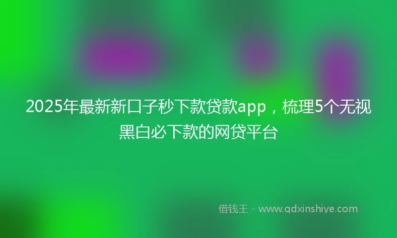 2025年最新新口子秒下款贷款app，梳理5个无视黑白必下款的网贷平台