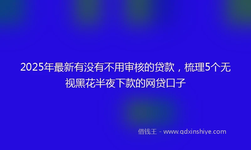2025年最新有没有不用审核的贷款，梳理5个无视黑花半夜下款的网贷口子