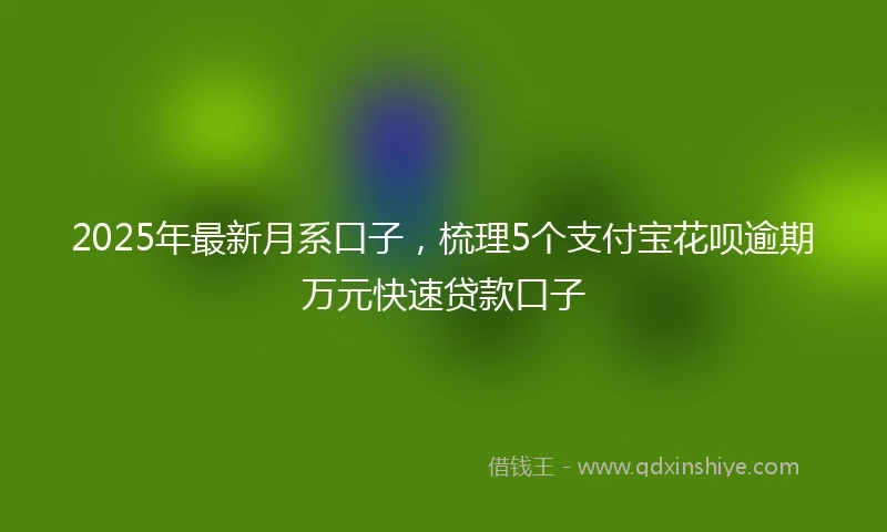 2025年最新月系口子，梳理5个支付宝花呗逾期万元快速贷款口子