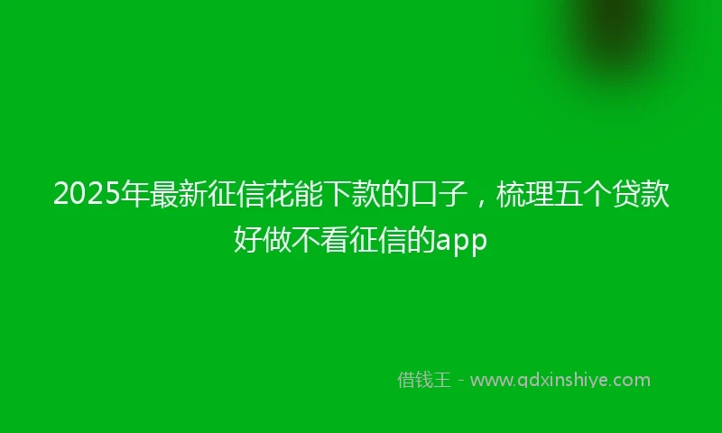 2025年最新征信花能下款的口子，梳理五个贷款好做不看征信的app