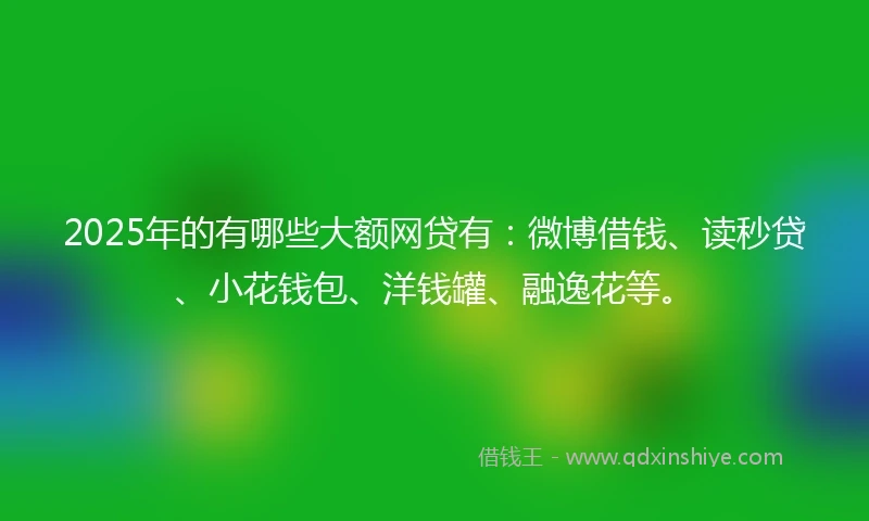 2025年的有哪些大额网贷有：微博借钱、读秒贷、小花钱包、洋钱罐、融逸花等。