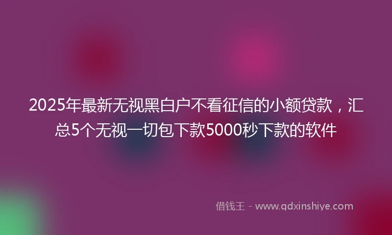 2025年最新无视黑白户不看征信的小额贷款，汇总5个无视一切包下款5000秒下款的软件