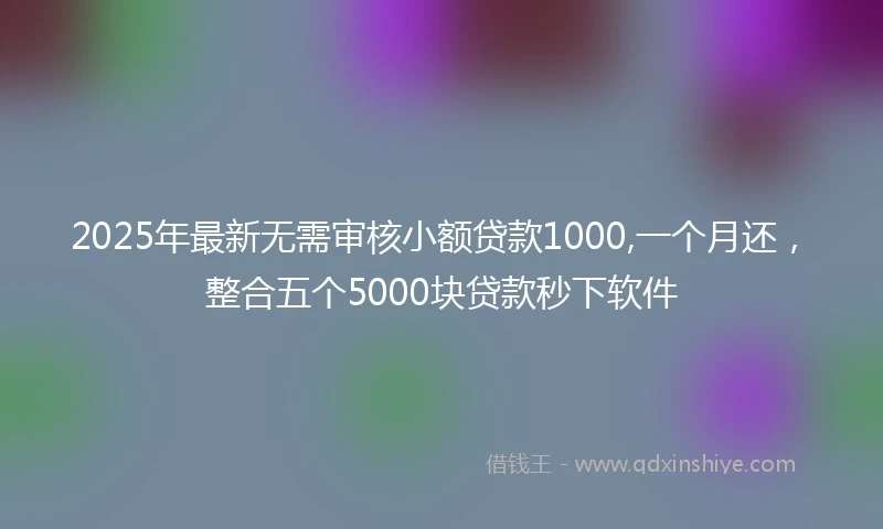 2025年最新无需审核小额贷款1000,一个月还，整合五个5000块贷款秒下软件