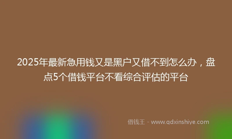2025年最新急用钱又是黑户又借不到怎么办，盘点5个借钱平台不看综合评估的平台