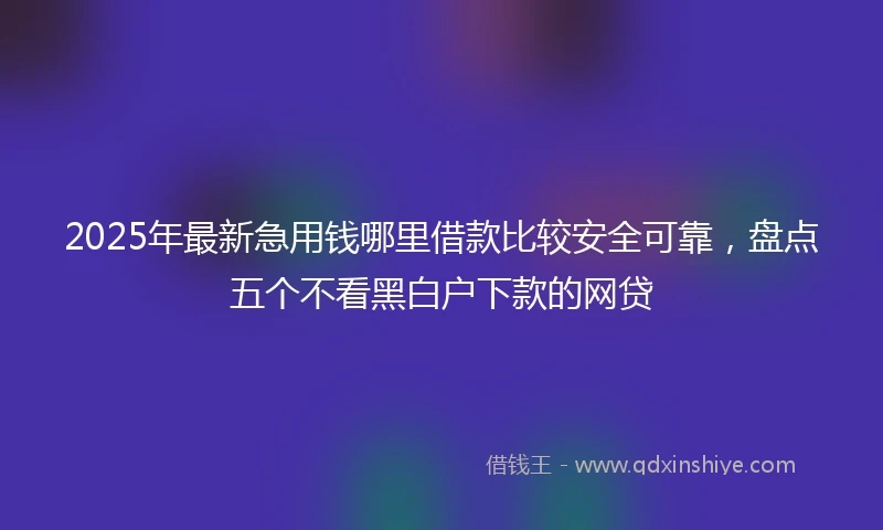 2025年最新急用钱哪里借款比较安全可靠，盘点五个不看黑白户下款的网贷