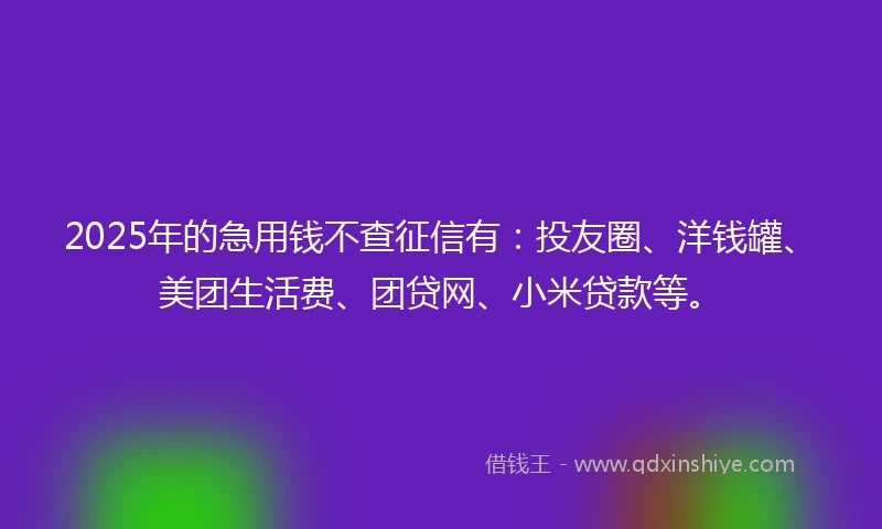 2025年的急用钱不查征信有：投友圈、洋钱罐、美团生活费、团贷网、小米贷款等。