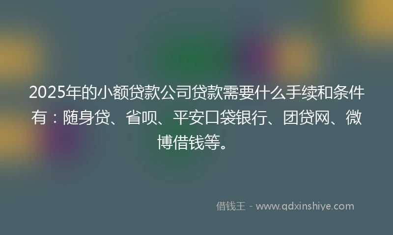 2025年的小额贷款公司贷款需要什么手续和条件有：随身贷、省呗、平安口袋银行、团贷网、微博借钱等。