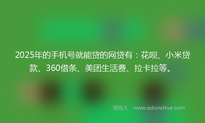 2025年的手机号就能贷的网贷有：花呗、小米贷款、360借条、美团生活费、拉卡拉等。