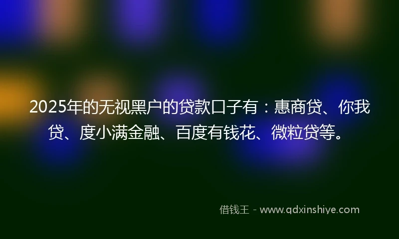 2025年的无视黑户的贷款口子有：惠商贷、你我贷、度小满金融、百度有钱花、微粒贷等。