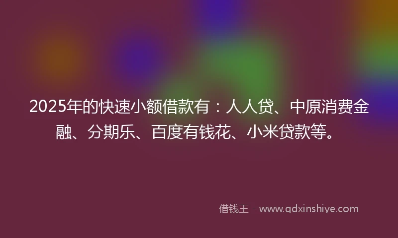 2025年的快速小额借款有：人人贷、中原消费金融、分期乐、百度有钱花、小米贷款等。