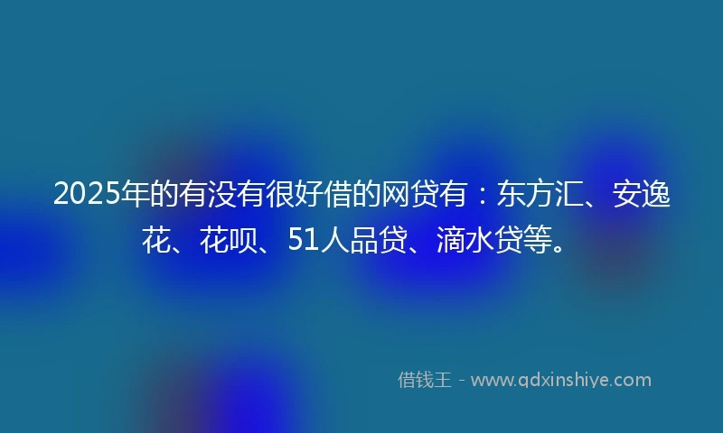 2025年的有没有很好借的网贷有：东方汇、安逸花、花呗、51人品贷、滴水贷等。