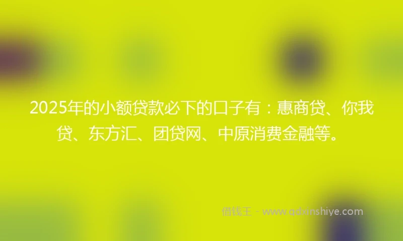 2025年的小额贷款必下的口子有：惠商贷、你我贷、东方汇、团贷网、中原消费金融等。