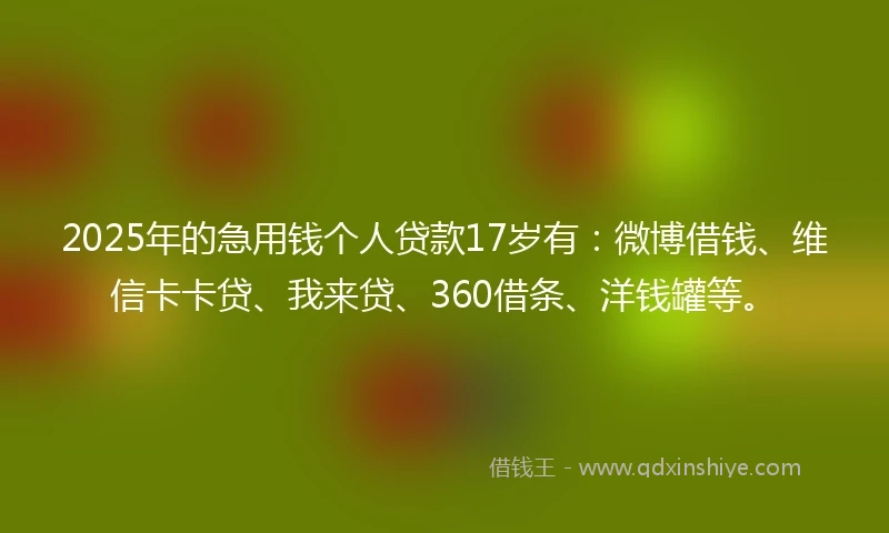 2025年的急用钱个人贷款17岁有：微博借钱、维信卡卡贷、我来贷、360借条、洋钱罐等。