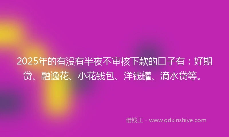 2025年的有没有半夜不审核下款的口子有：好期贷、融逸花、小花钱包、洋钱罐、滴水贷等。