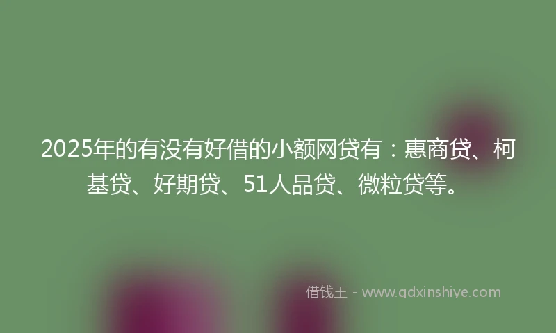 2025年的有没有好借的小额网贷有：惠商贷、柯基贷、好期贷、51人品贷、微粒贷等。