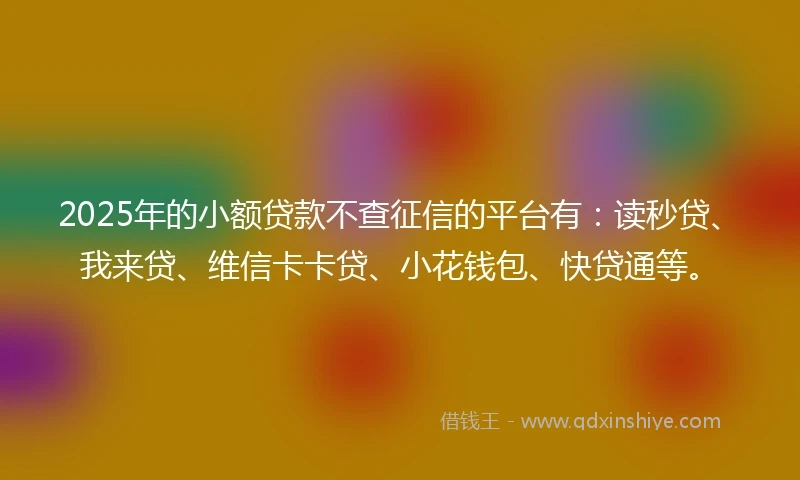 2025年的小额贷款不查征信的平台有：读秒贷、我来贷、维信卡卡贷、小花钱包、快贷通等。