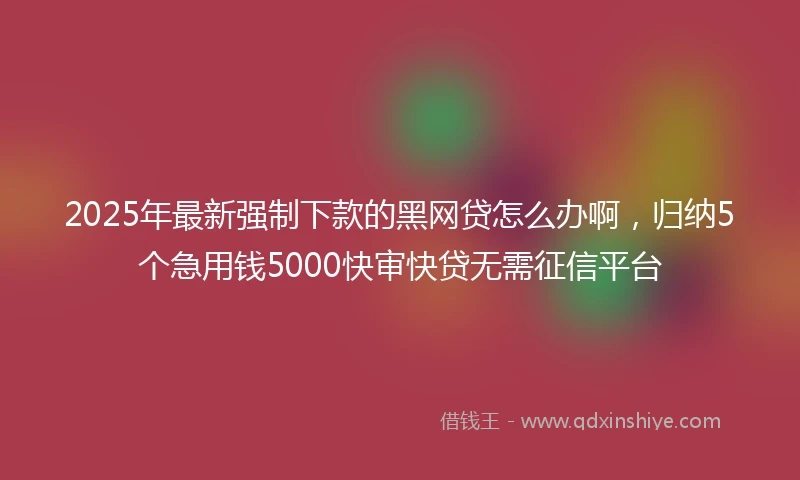 2025年最新强制下款的黑网贷怎么办啊，归纳5个急用钱5000快审快贷无需征信平台