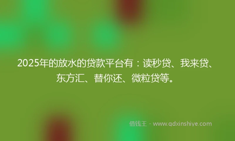 2025年的放水的贷款平台有：读秒贷、我来贷、东方汇、替你还、微粒贷等。