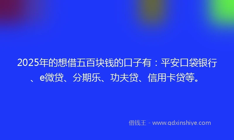 2025年的想借五百块钱的口子有：平安口袋银行、e微贷、分期乐、功夫贷、信用卡贷等。