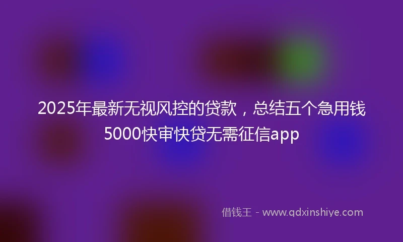 2025年最新无视风控的贷款，总结五个急用钱5000快审快贷无需征信app