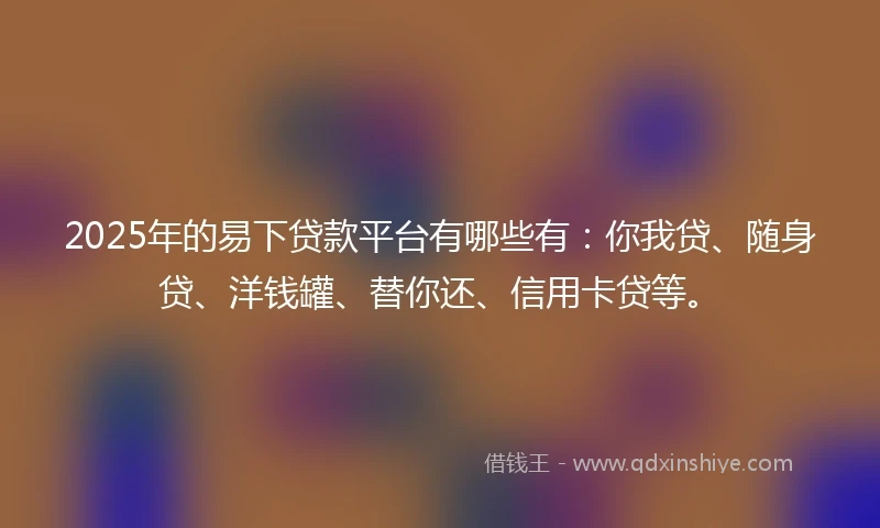 2025年的易下贷款平台有哪些有：你我贷、随身贷、洋钱罐、替你还、信用卡贷等。