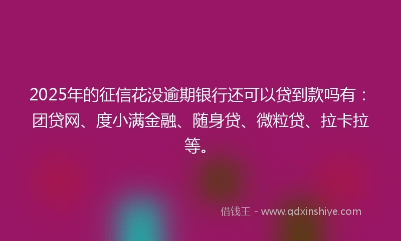 2025年的征信花没逾期银行还可以贷到款吗有：团贷网、度小满金融、随身贷、微粒贷、拉卡拉等。