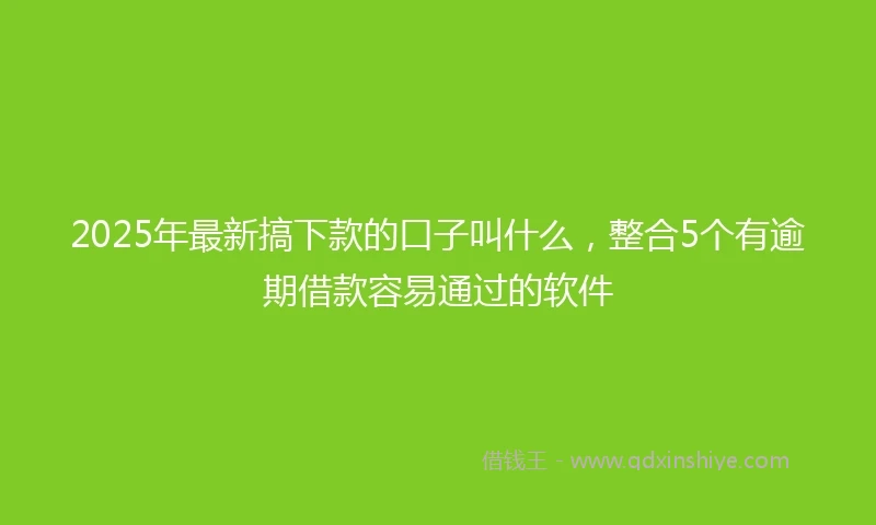 2025年最新搞下款的口子叫什么，整合5个有逾期借款容易通过的软件