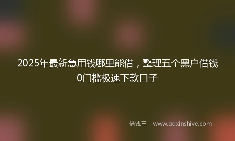 2025年最新急用钱哪里能借，整理五个黑户借钱0门槛极速下款口子