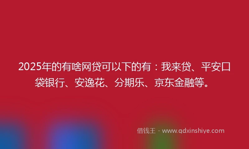 2025年的有啥网贷可以下的有：我来贷、平安口袋银行、安逸花、分期乐、京东金融等。