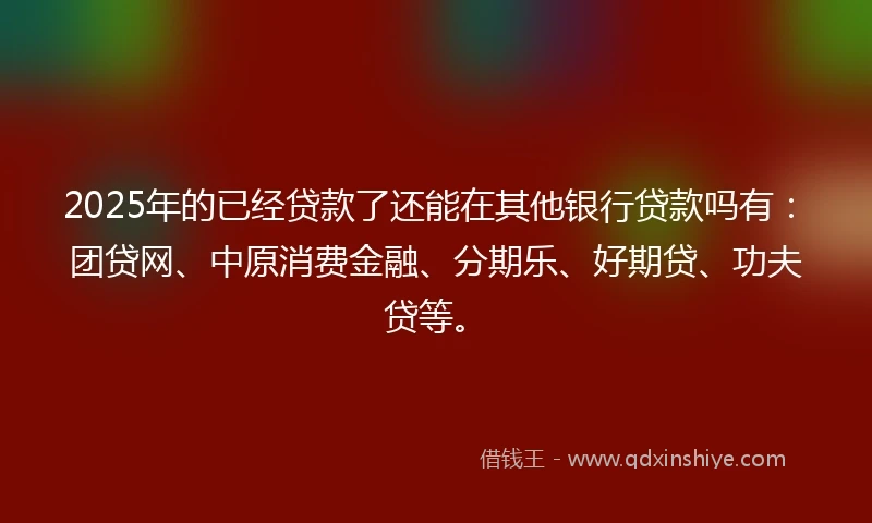 2025年的已经贷款了还能在其他银行贷款吗有：团贷网、中原消费金融、分期乐、好期贷、功夫贷等。