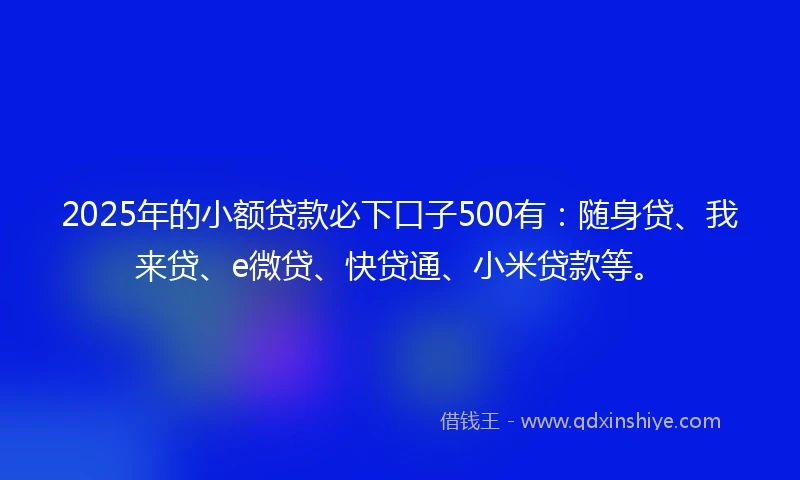 2025年的小额贷款必下口子500有：随身贷、我来贷、e微贷、快贷通、小米贷款等。