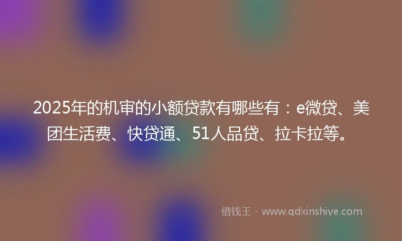 2025年的机审的小额贷款有哪些有：e微贷、美团生活费、快贷通、51人品贷、拉卡拉等。