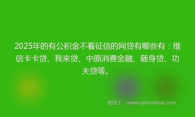2025年的有公积金不看征信的网贷有哪些有：维信卡卡贷、我来贷、中原消费金融、随身贷、功夫贷等。