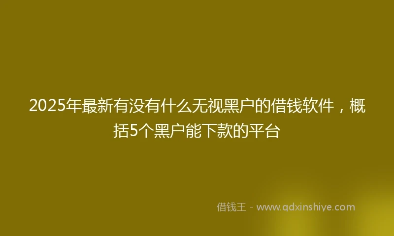 2025年最新有没有什么无视黑户的借钱软件，概括5个黑户能下款的平台