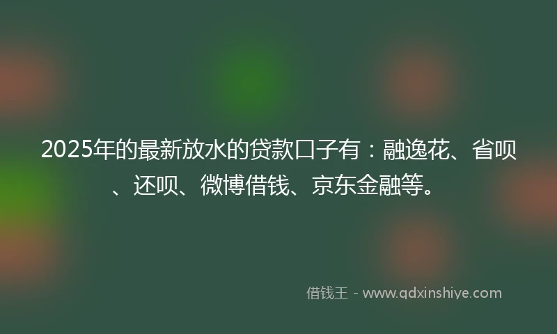 2025年的最新放水的贷款口子有：融逸花、省呗、还呗、微博借钱、京东金融等。
