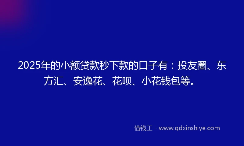 2025年的小额贷款秒下款的口子有：投友圈、东方汇、安逸花、花呗、小花钱包等。