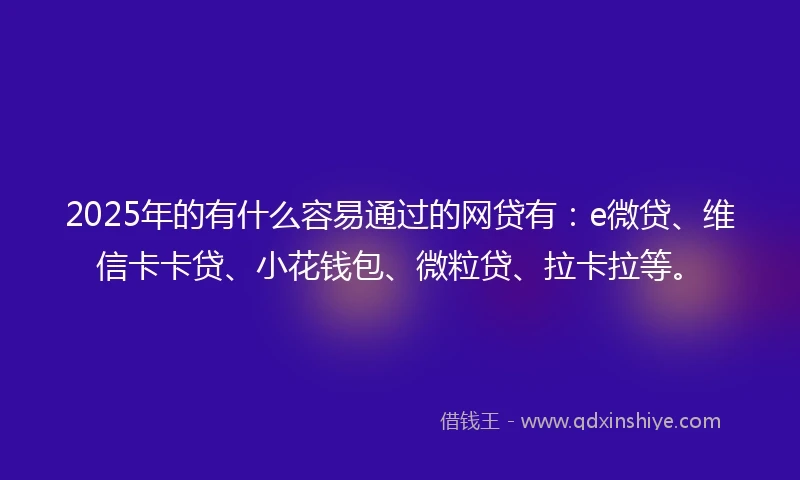 2025年的有什么容易通过的网贷有：e微贷、维信卡卡贷、小花钱包、微粒贷、拉卡拉等。