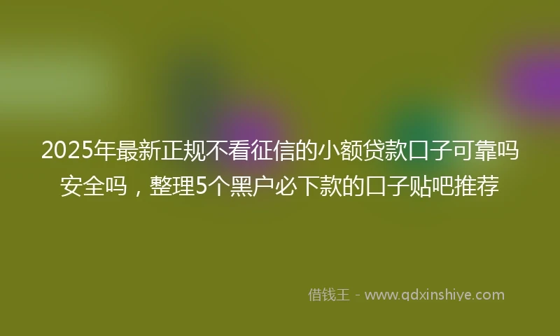2025年最新正规不看征信的小额贷款口子可靠吗安全吗，整理5个黑户必下款的口子贴吧推荐