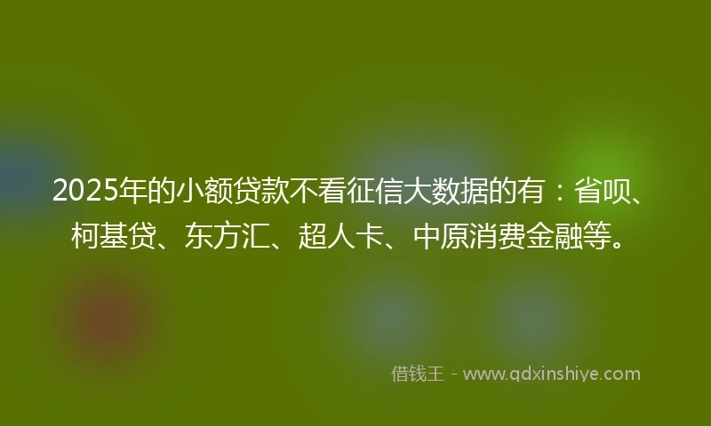 2025年的小额贷款不看征信大数据的有：省呗、柯基贷、东方汇、超人卡、中原消费金融等。