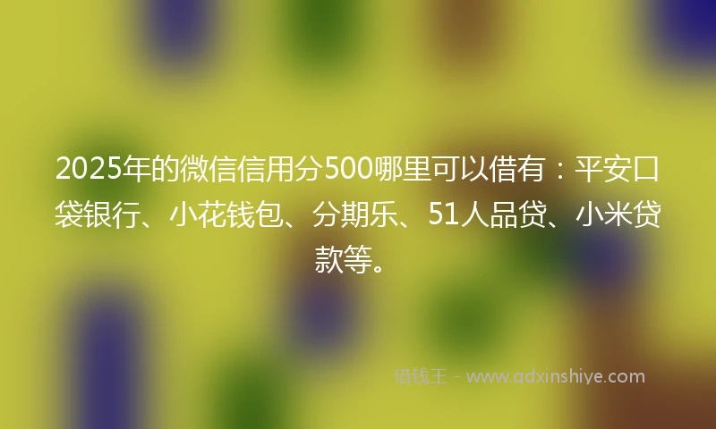 2025年的微信信用分500哪里可以借有：平安口袋银行、小花钱包、分期乐、51人品贷、小米贷款等。