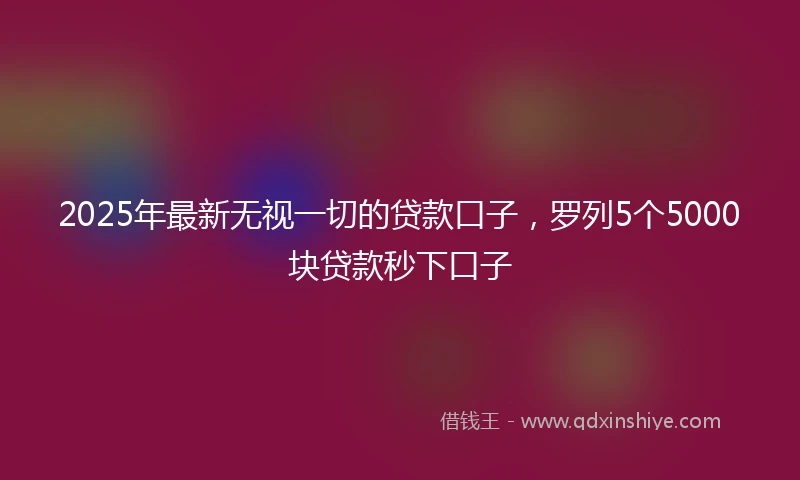 2025年最新无视一切的贷款口子，罗列5个5000块贷款秒下口子