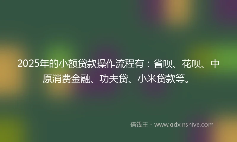 2025年的小额贷款操作流程有：省呗、花呗、中原消费金融、功夫贷、小米贷款等。