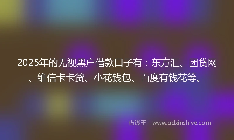 2025年的无视黑户借款口子有：东方汇、团贷网、维信卡卡贷、小花钱包、百度有钱花等。